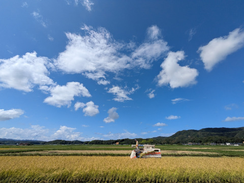 栽培期間中農薬不使用!! 京丹後産『コシヒカリ』玄米4.5kg