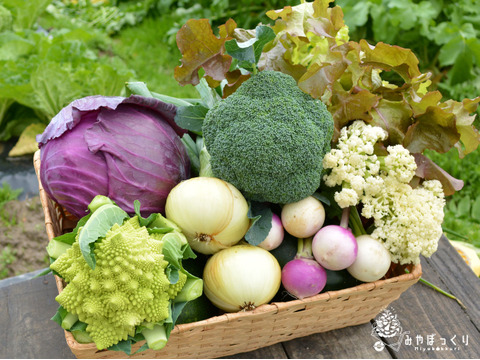 《ベジコレ》淡路島産島のトレンド野菜コレクション!!　お任せセット　-80サイズ-