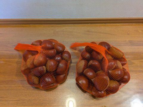 信州産小布施栗1kg　2~4Lサイズ