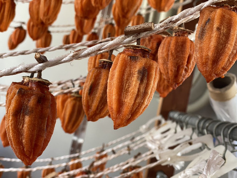 訳あり！　あんぽ柿（干し柿）・りんご　詰め合わせセット　3k hs4