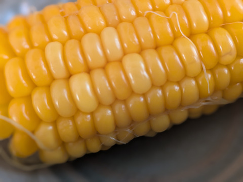 🎃🍁秋の野菜セット🍁🎃