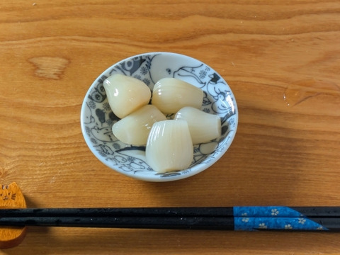 【有馬温泉の麓産】生らっきょう 2kg 栽培期間中農薬不使用🌱