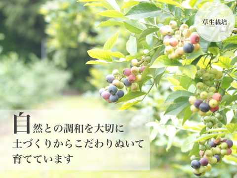 るりしずく＆ブルーベリージャム 食べ比べセット（大瓶2本）【冬ギフト】