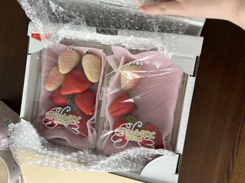 ２セット４箱
プチ豪華なとちおとめとスカイベリーのセット