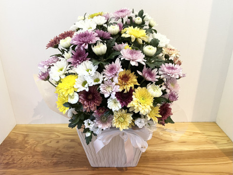 白菊とカラーマムのお供えアレンジメント