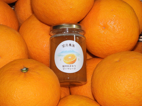 【食べ比べ】太陽の恵み駿河あまなつ&マーマレード（２Ｋ箱）