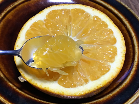 【農薬不使用】見た目悪くてごめんなさい。訳あり八朔　3キロ