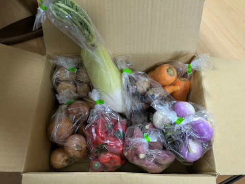 農家直送！規格外・わけあり品セット(A)2,800円分