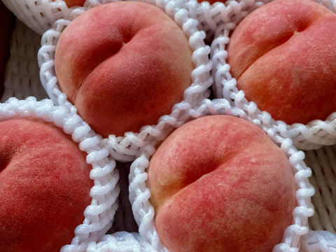 【珍しいにこにこ桃🍑まどか・山形県産】８月中旬ごろ発送　2kg箱入り（ギフトに、ご自分のご褒美に)人と環境に優しい農園