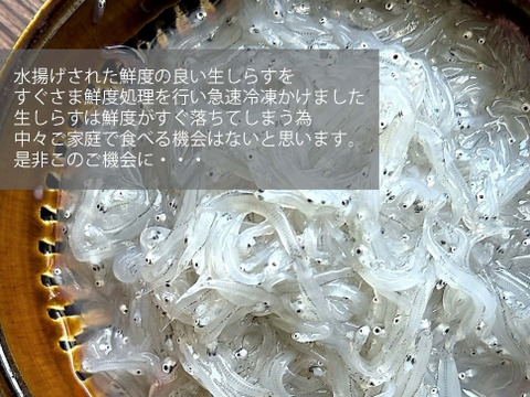お刺身用☆生しらす(冷凍)期間限定発売：千葉県産のしらす｜食べ