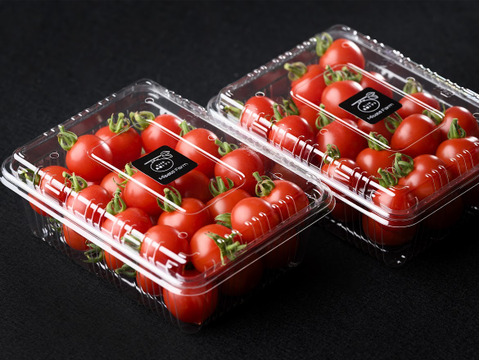 【熨斗対応】《秀品！高糖度ミニトマト化粧箱入り》本当に甘い！希少品種「ほれまる」