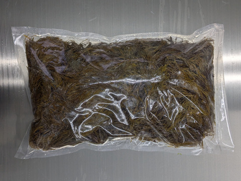 【採れたて！天然！】無加工 アカモク(生) 1kg