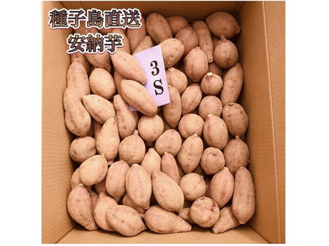 種子島産安納芋 3S&M 混合サイズ 5kg｜甘くて濃厚🍠｜aimo農園直送