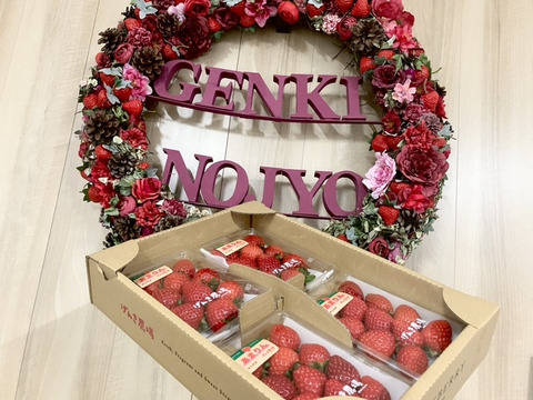 【いちごグランプリ2026　総合部門　銅賞】埼玉県オリジナル品種「あまりん」小粒4パック