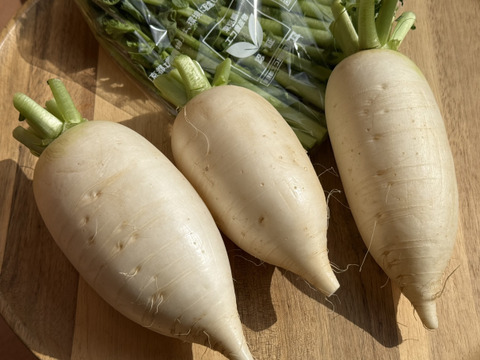 ”ノウフク“　四季姫2号　１キログラム（2本～3本）
【栽培期間中　農薬化学肥料不使用】