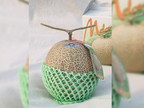 【ギフトにご褒美に！】アールスロイヤルメロン【夢風船直送青肉アールスメロン】約1.6kg