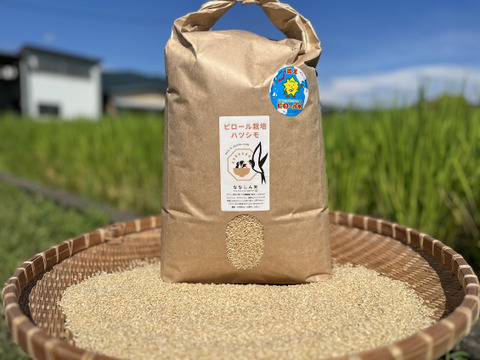 【農薬・化学肥料不使用】ピロール栽培米ハツシモ【10kg】【玄米】【令和7年産】
