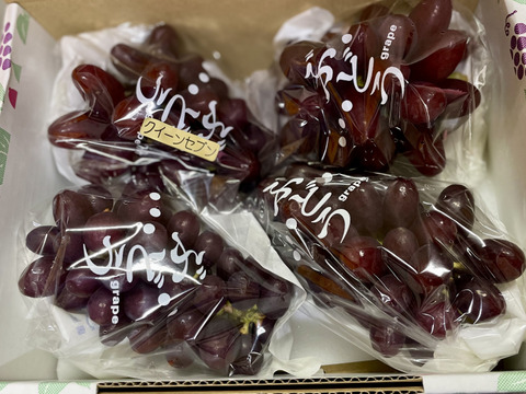 魅惑の甘さのレア品種「クイーンセブン」約1kg〜山梨生まれ、山梨育ち〜