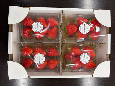 【特Aやよいひめ】宮城蔵王産 250ｇ×4ｐ