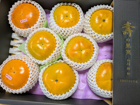 楽しみ２倍ですよ『太秋柿・輝太郎柿』４Ｌ・８個 ・２.45kg以上 白い箱入り