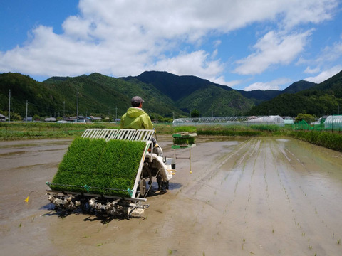 【2024年産】自然栽培のお米『旭（あさひ）』玄米５ｋｇ