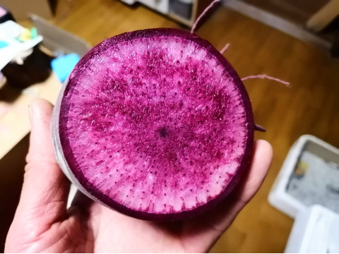 ピリリと辛旨。夏の紅くるり大根。