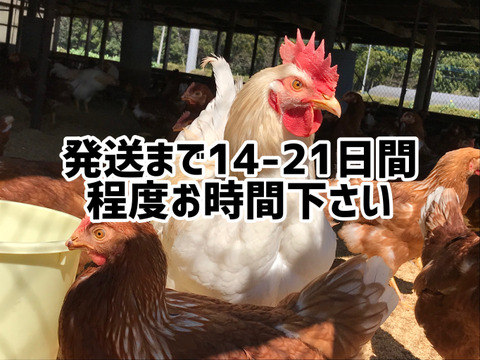 酵母を与えて育った平飼いたまご30個(元気たまご)