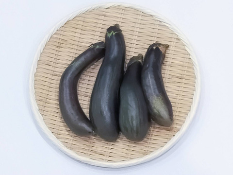 しまトラ♪なす（ふわとろ長）2Kg