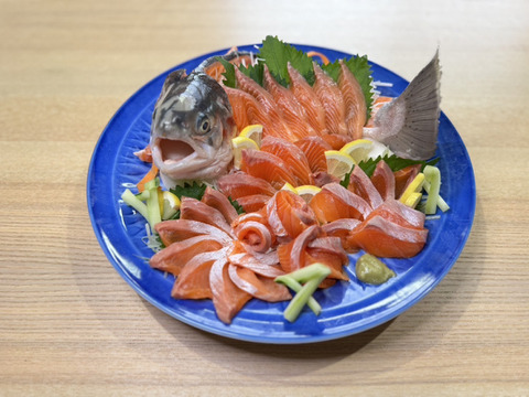 旨味と甘みの絶品桃太郎サーモン　フィレ　800ｇ～1200ｇ