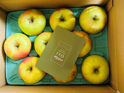 甘くて美味しい！　ぐんま名月　家庭用　3キロ【JA基準より60％減の低農薬栽培】