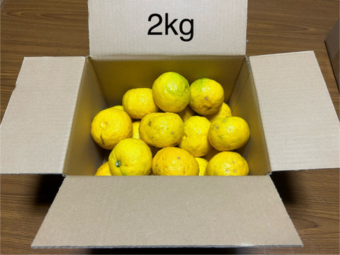 癒しの香り♪約2ｋｇ、本柚子（ゆず）、少し傷あり、サイズ混合