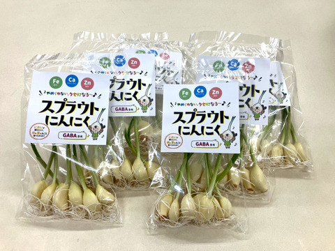 スプラウトにんにく50ｇ×6袋（50ｇ＝約6個）※発芽にんにく/スプラウトニンニク