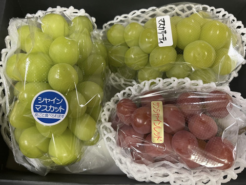 【贈答にも】シャイン一族食べ比べ（希少なサンシャインレッド・マスカサーティーン入り）