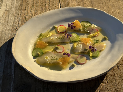 群馬県の有機JAS取得野菜の粉末セット 5g×5包×3生産者(全15包)