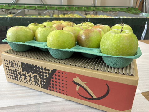 甘くない贅沢！これぞグラニースミス10㎏（25～40玉）