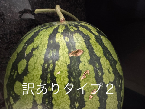 8/17収穫分【訳あり】糖度13-17以上【金色羅皇】『大里果樹園のスイカ』2L-3L