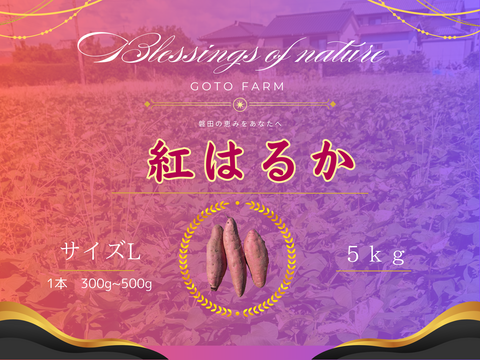 磐田の恵みネットリ甘い紅はるかL(10kg）