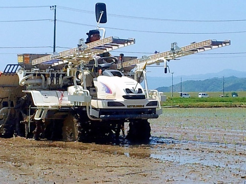 コウノトリ舞いおりるコシヒカリ 特別栽培米 六方銀米 7ぶづき米 5ｋｇ