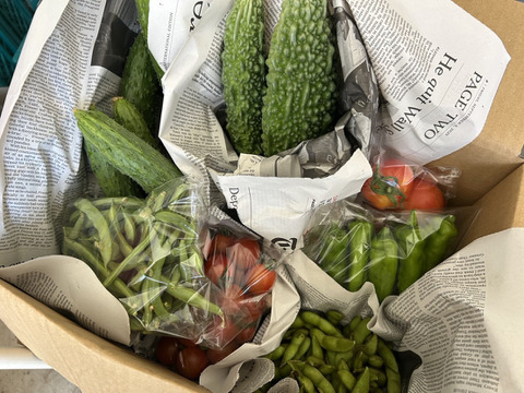 27日発送★栽培期間中農薬不使用★お気に入り 野菜セット 兵庫県丹波市から！栽培期間中農薬不使用の野菜セット（7品程度