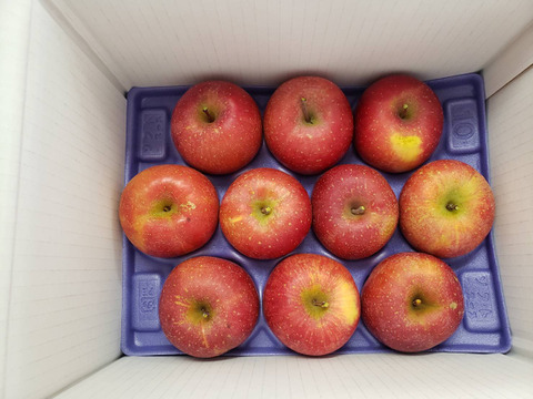 まるせい果樹園の春りんご　3㌔　贈答用　自家用　家庭用