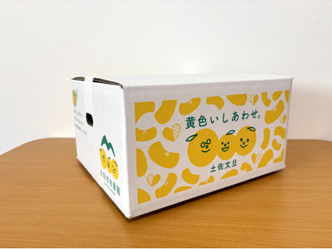 化学合成農薬栽培期間中不使用　土佐文旦　A品(農園独自基準)　大玉　3kg(5個前後)　黄色いしあわせ®　文旦の本場👑高知県土佐市産！　☆便利な皮むき器付き　“北海道への配送専用商品です”