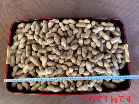 乾燥生落花生1kg【ジャンボピーナッツ・極大粒・殻付き】【農薬・化学肥料不使用】【天日乾燥】【令和6年・岐阜県産】