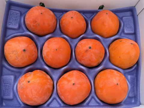 求む！干し柿チャレンジャー【甲州百匁柿10個+あんぽ柿２ケ】干し紐・ガイド付き（受付11月25日迄）