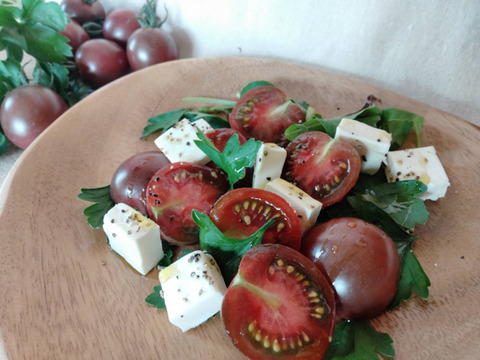 アントシアニン豊富！トスカーナバイオレット1kg