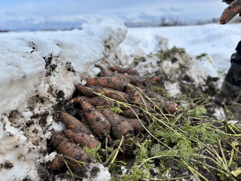 【季節限定】えべつの冬が生んだ香るごほうびキャロットケーキキット