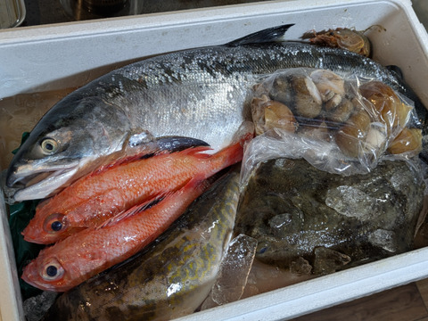 松コース 【お盆明け発送】船頭にお任せ！鮮魚ボックス（詰め合わせ）海鮮セット