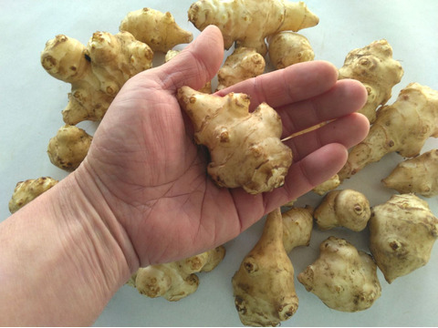 1kg⭐️スーパーフード⭐️菊芋⭐️《OPENセール！特価！》