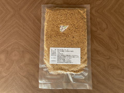 【金ごま】（生・洗いごま・未焙煎）100g×5p　農薬不使用・化学肥料不使用　令和７年　岐阜県産【クリックポスト発送】