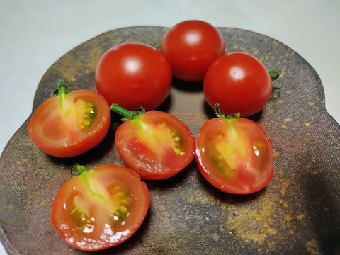 今が最高に美味しい！美味しいミニトマトを食べたい人のためのミニトマト７００グラム