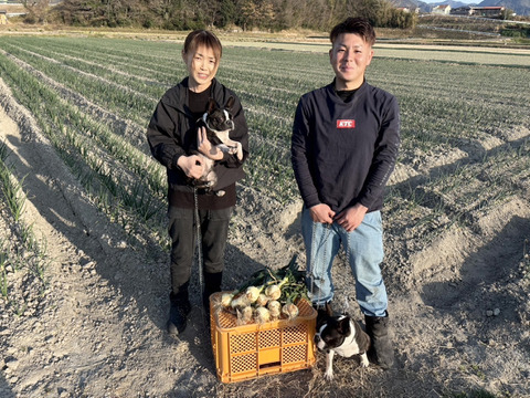 【淡路島の傑作】とろける極上の甘み！新玉ねぎ「七宝」　10kg（サイズ混合）